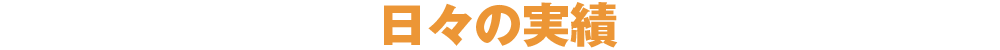 日々の実績